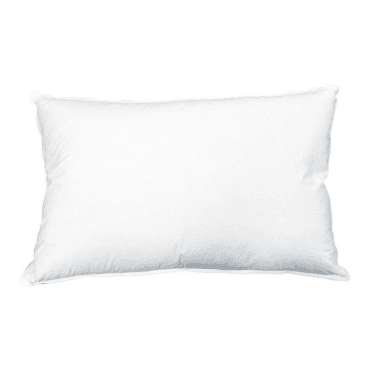 Fine Feather Quill Free Pillow
