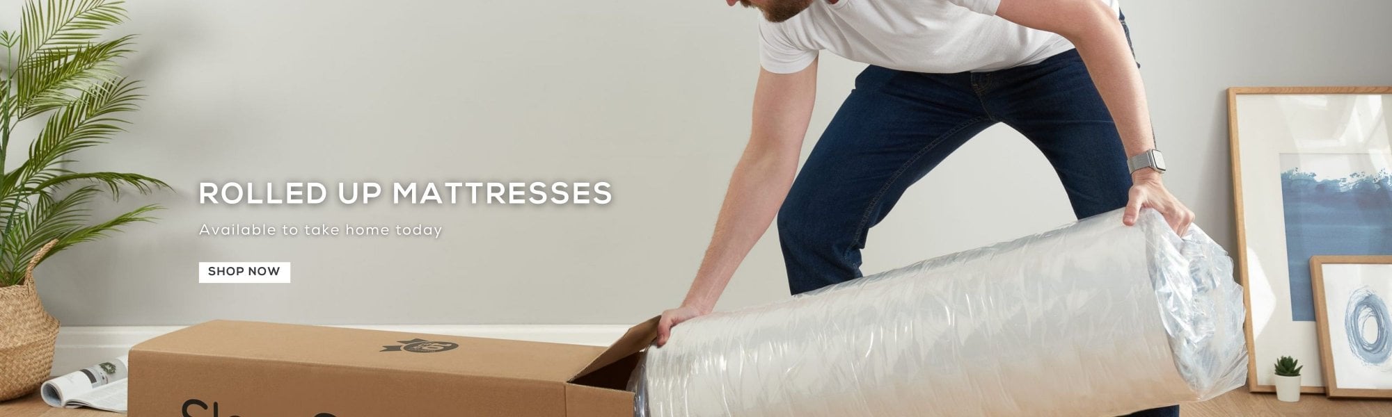 Rolled Up Mattresses Available to Collect